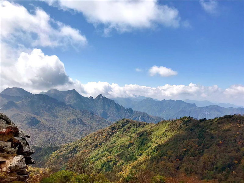 5da18c7729295.png 2_副本.png