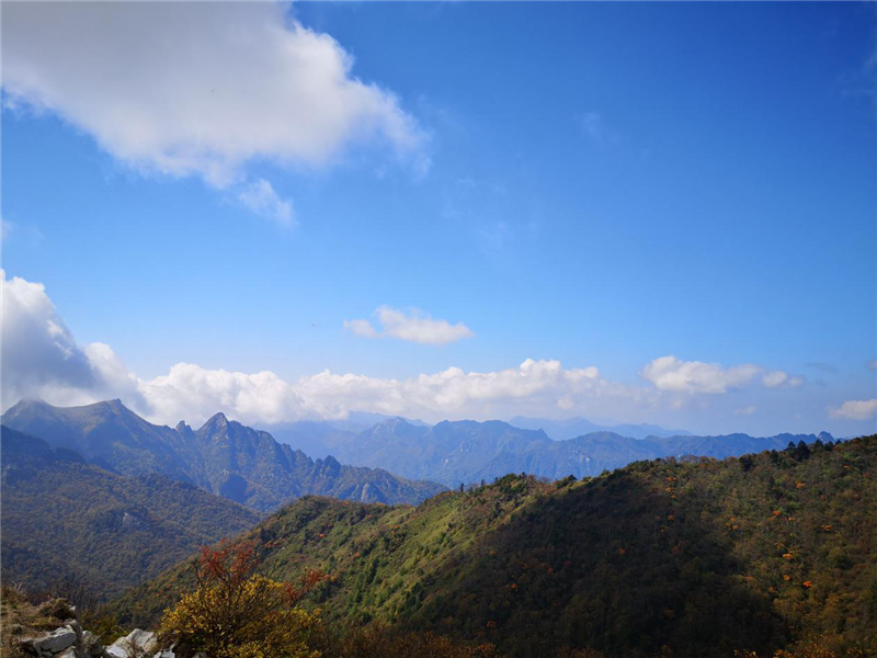 5db404de6a6b0.png 圖片3_副本.png