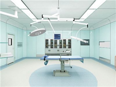 漢陰縣婦幼保健院住院樓手術(shù)室、產(chǎn)房?jī)艋b飾及設(shè)備采購(gòu)項(xiàng)目