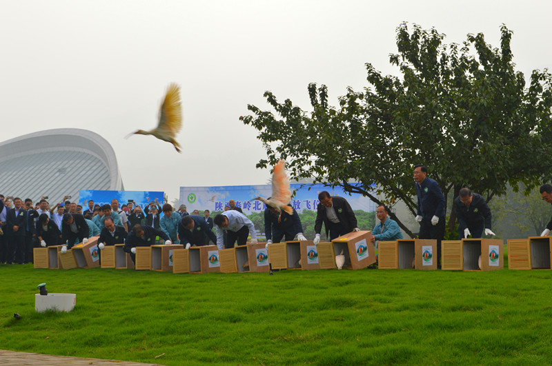 5f81708c0f0ad.jpg mmexport1601262907267_副本.jpg