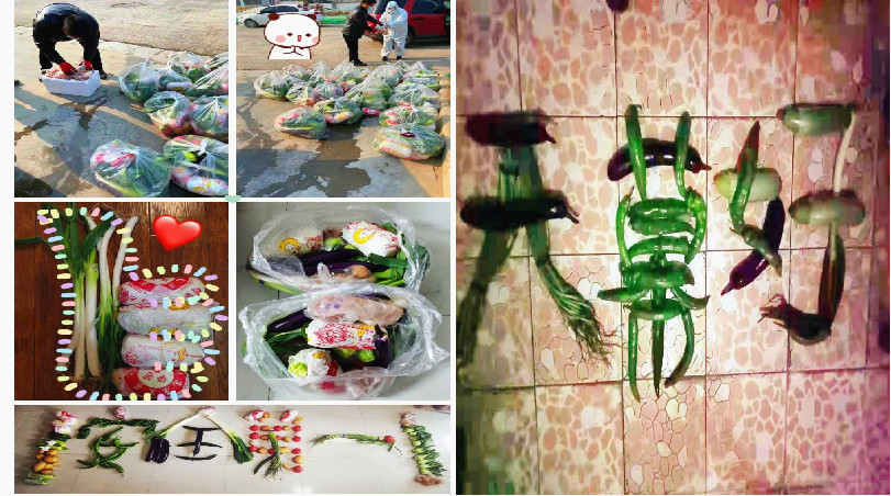 63dc9f47bae8d.jpg 抗疫2_副本.jpg